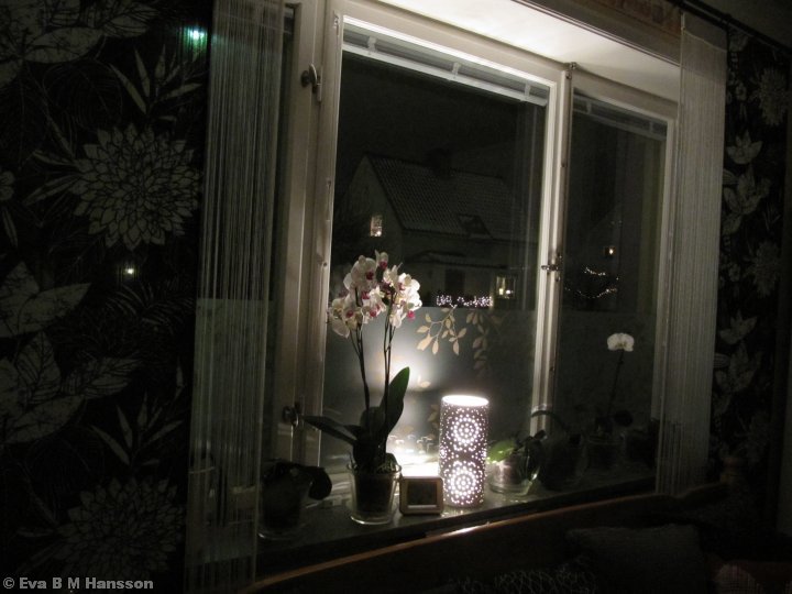 Nu har lampan åter gjort entré i köksfönstret när stjärnan och staken igår fick krypa ner i adventslådan. Söderstaden kl 21:36 den 14 januari 2013.