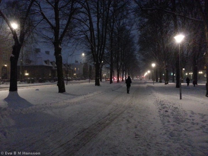 Jodå, visst kommer det ner mera snö. Södra promenaden kl 17:25 den 12 februari 2013.