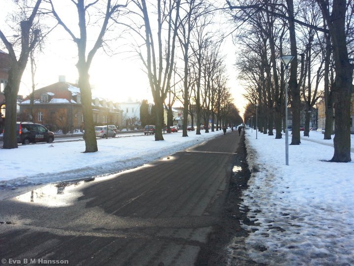 Passerar en av promenaderna. Södra promenaden i Norrköping kl 16:54 den 27 februari 2013.