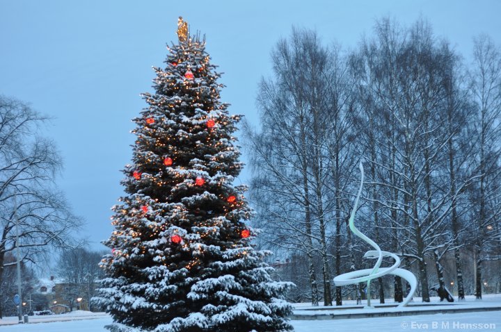 Julgranen och fontänskulpturen "Spiral åtbörd" vid Kristinaplatsen utanför Norrköpings Konstmuseum.
